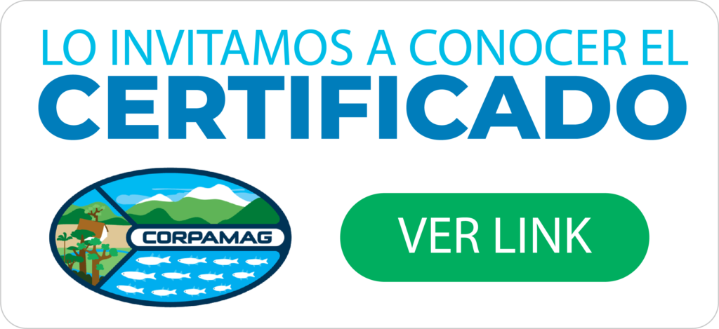 corpamag 1024x469