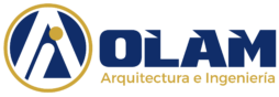 logo olam 30